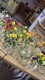 Thumbs/tn_lbt_100_002.jpg