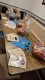 Thumbs/tn_lbt_100_008.jpg