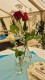 Thumbs/tn_lbt_100_010.jpg