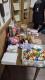 Thumbs/tn_lbt_100_026.jpg