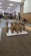 Thumbs/tn_lbt_100_091.jpg