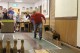 Thumbs/tn_lbt_100_153.jpg