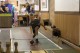 Thumbs/tn_lbt_100_155.jpg