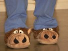 Thumbs/tn_lbt_30.jpg